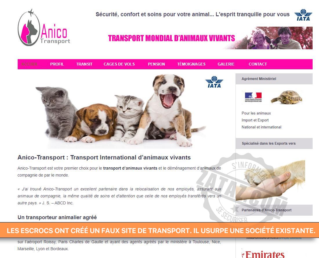 ZATAZ » Offre chaton sur le web : des arnaques qui se multiplient